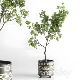 Indoor plant vase handmade pottery plant tree pot